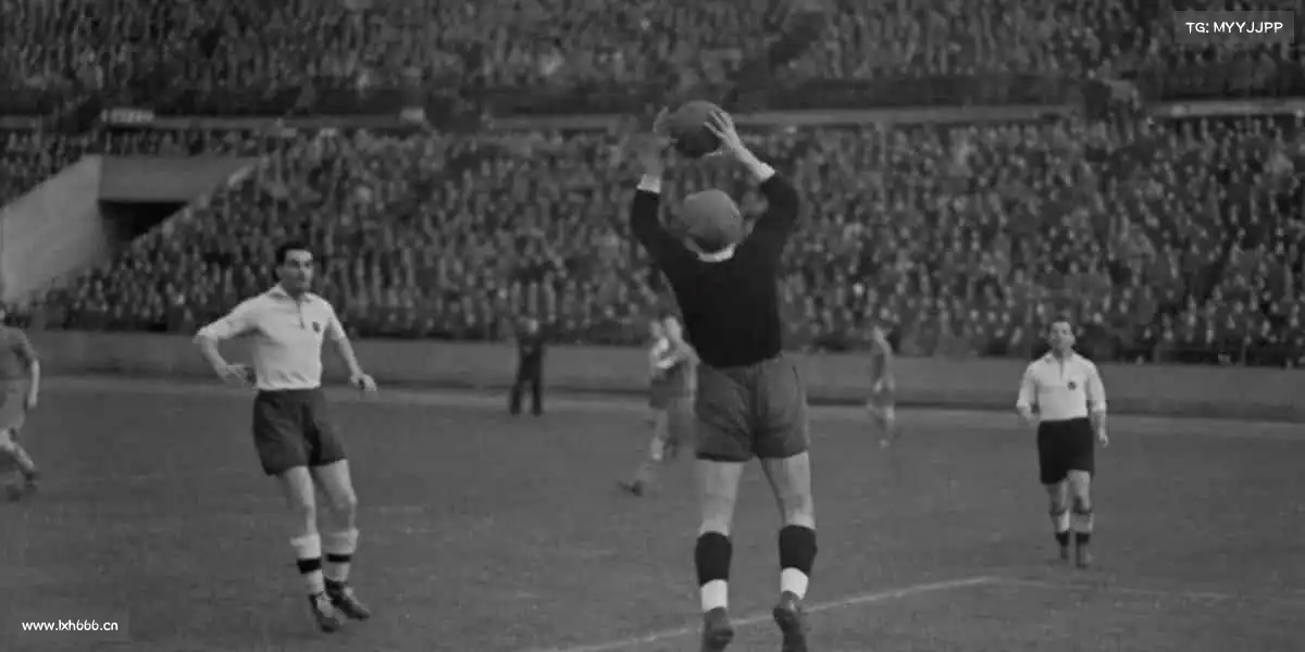 为什么选择我们